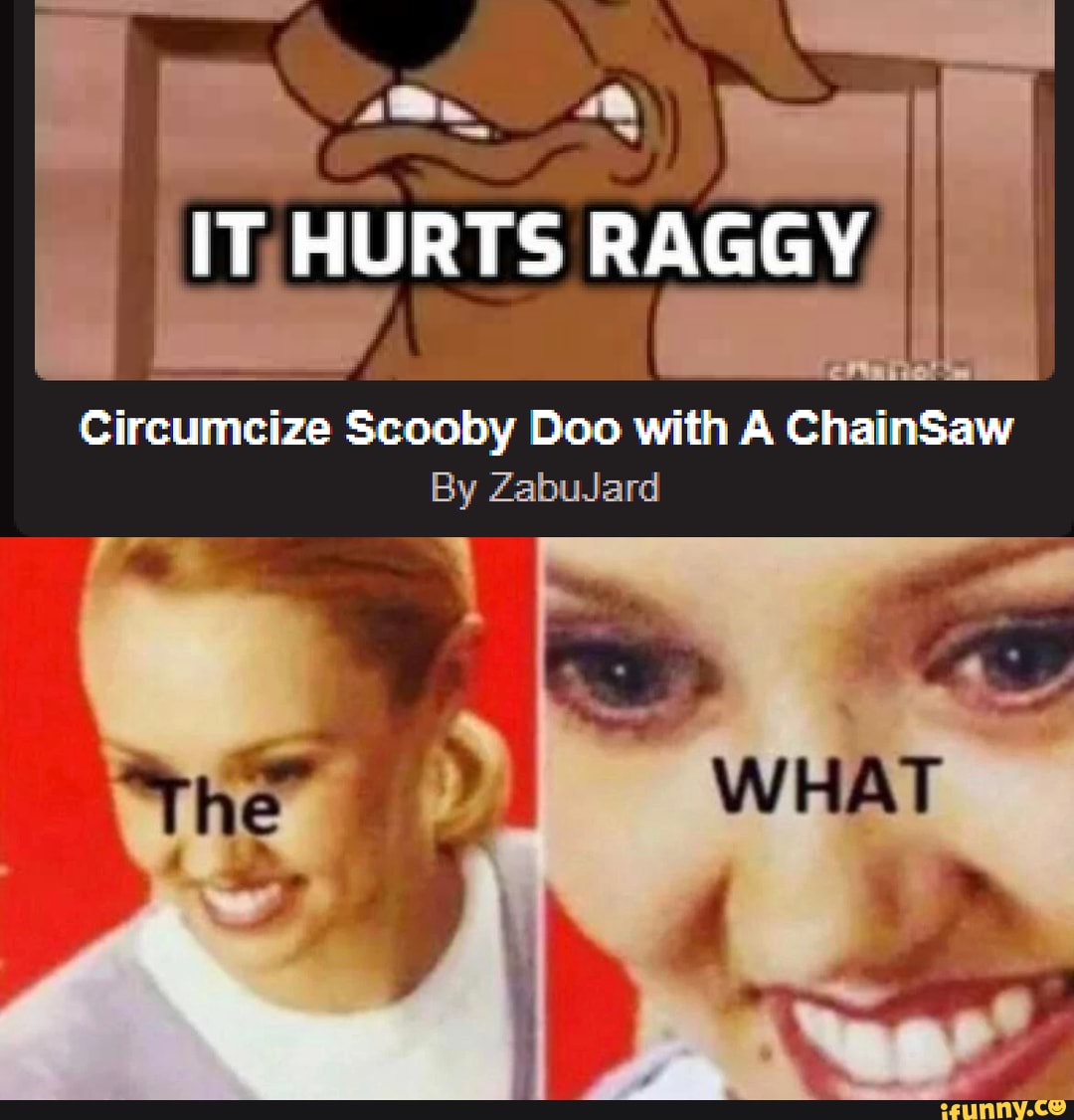 Raggy Memes Best Collection Of Funny Raggy Pictures On Ifunny