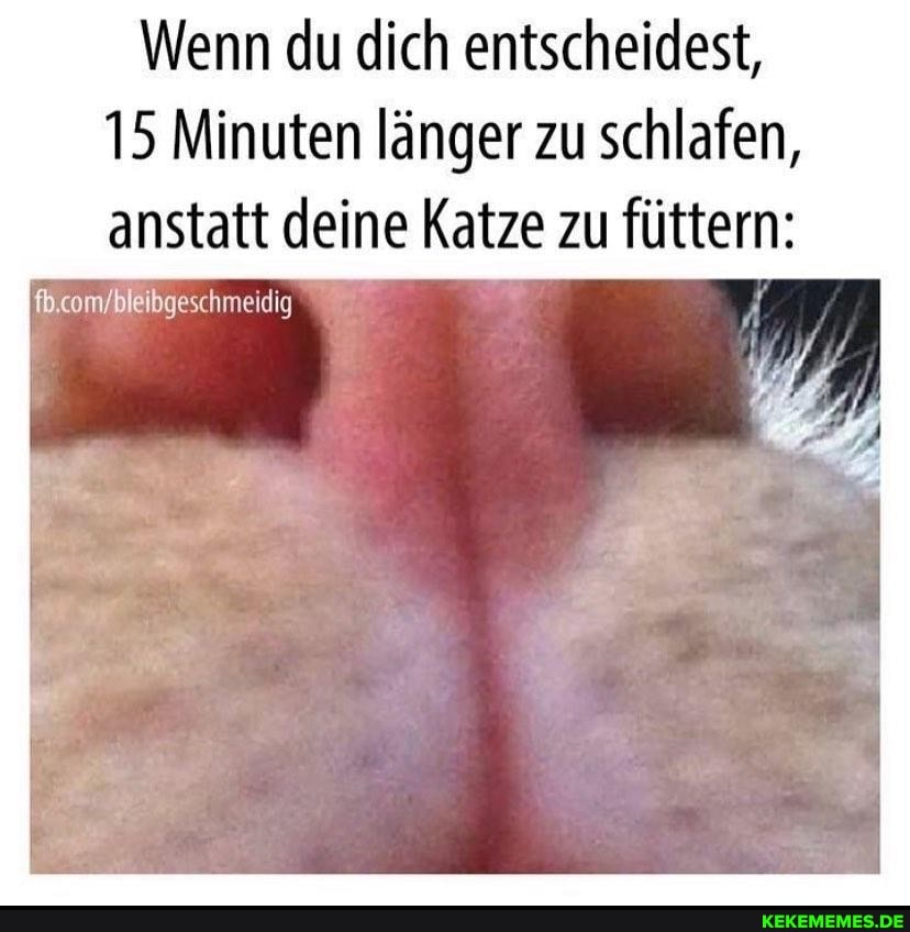 Wenn du dich entscheidest,
15 Minuten länger zu schlafen, anstatt deine Katze zu füttern:
fb