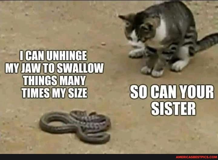 CAN UNHINGE MY JAW TG SWALLOW THINGS MANY TIMES MY SIZE SO CAN YOUR
SISTER