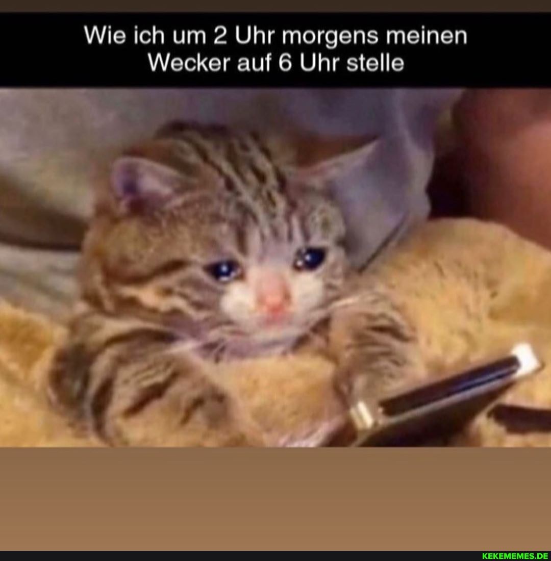 Wie ich um 2 Uhr morgens meinen
Wecker auf 6 Uhr stelle