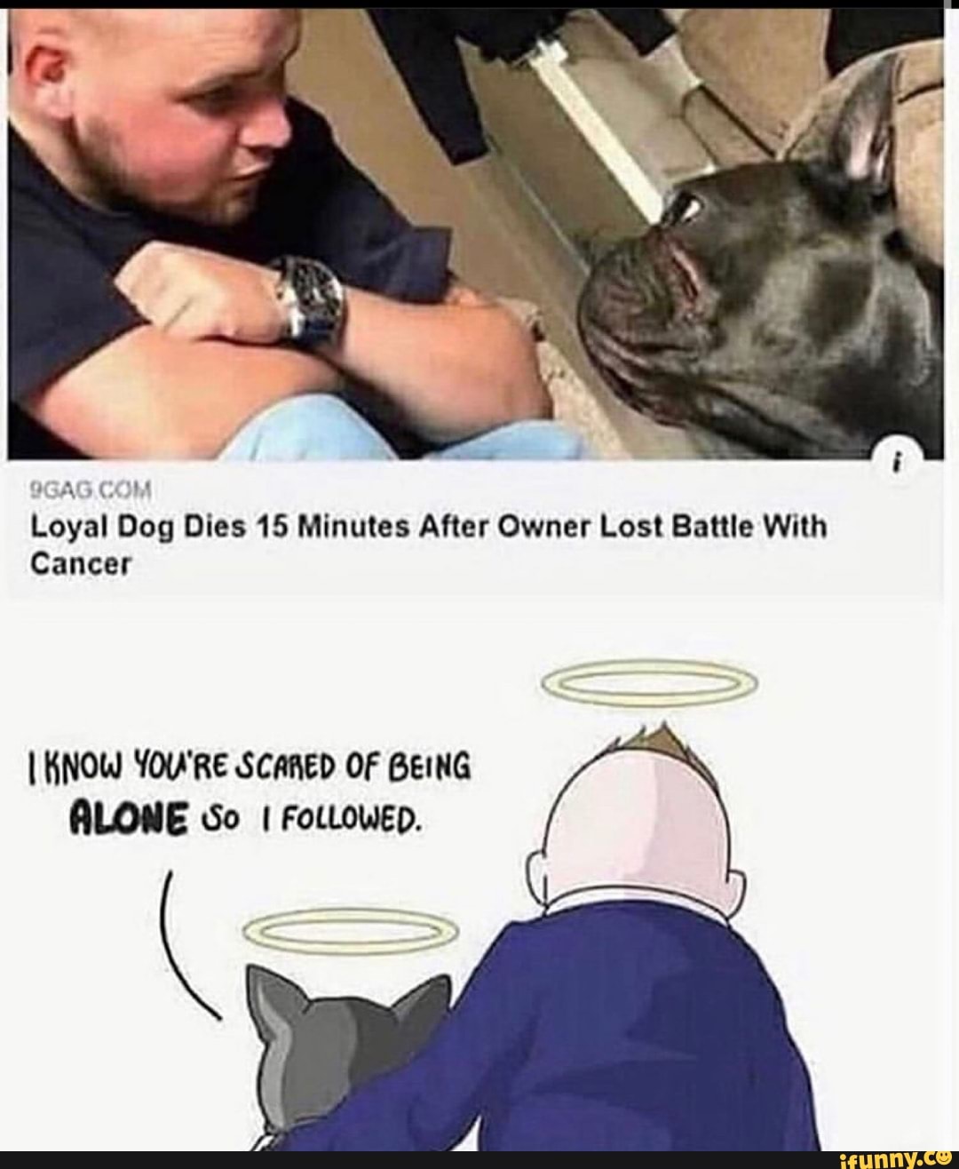 9GAG. COM
Loyal Dog Dies 15 Minutes After Owner Lost Battle With
Cancer
KNOW YOU'RE SCARED OF BEING ALONE So I FOLLOWED.