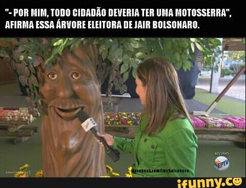 "= POR MIN, TODO CIDADÃO DEVERIA TER UMA MOTOSSERRA",
AFIRMA ESSA ÁRVORE ELEITORA DE JAIR BOLSONARO.