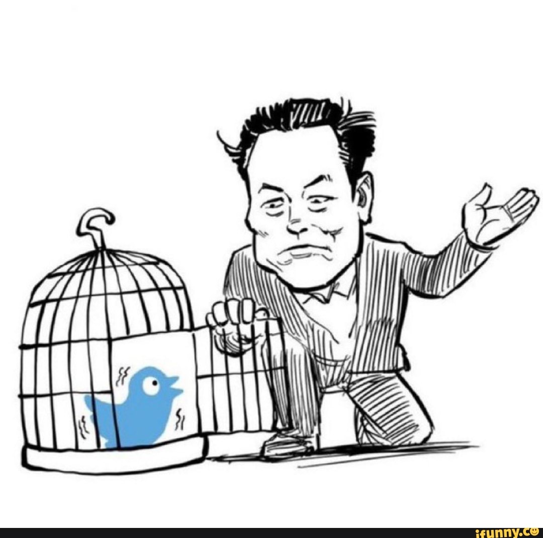 Twitterbirdcage memes. Best Collection of funny Twitterbirdcage