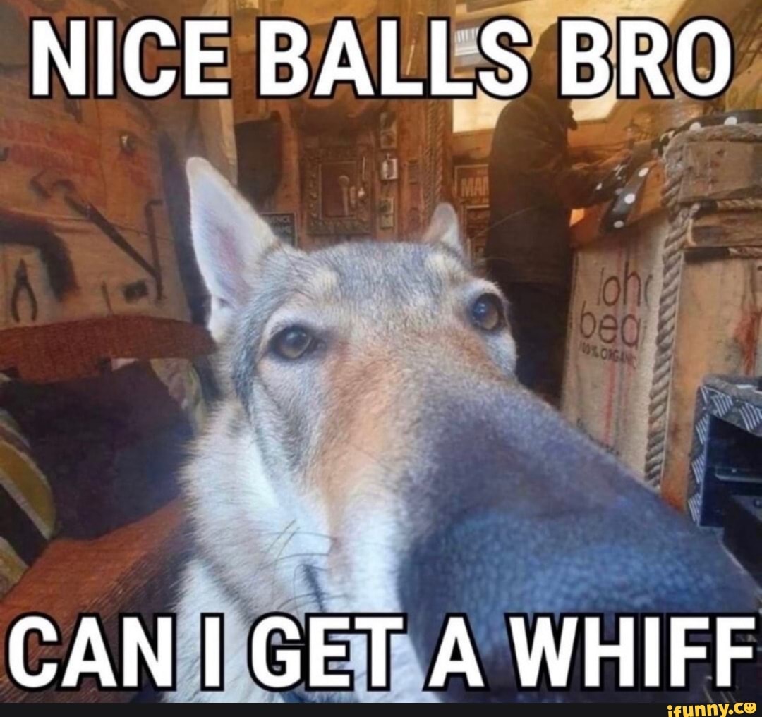 NICE BALLS BRO
CAN I GET A WHIFF