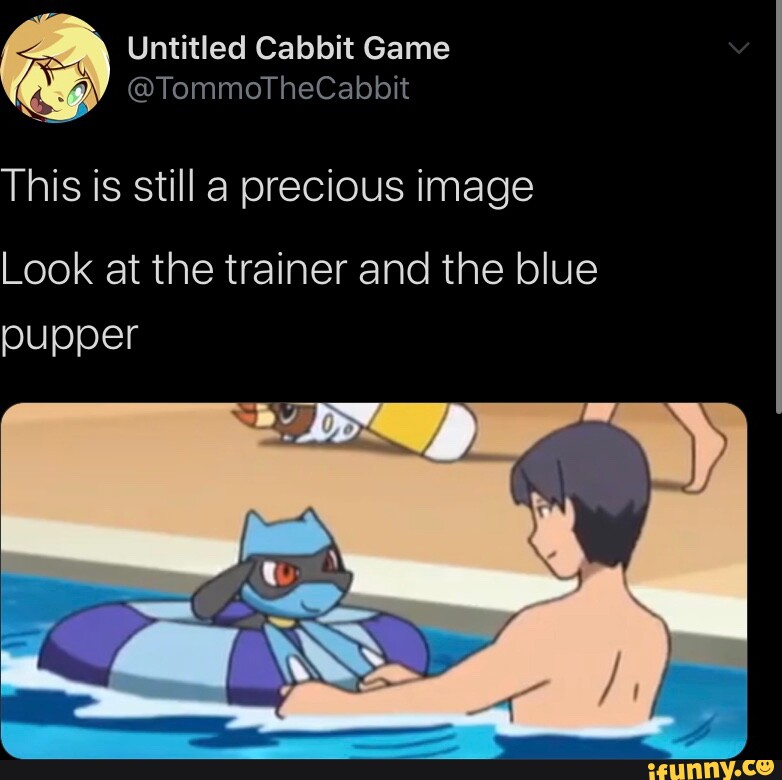 Cabbit memes. Best Collection of funny Cabbit pictures on iFunny
