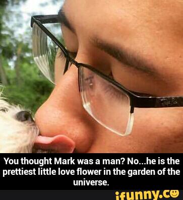Vou thought Mark was a man? No...he is the
plettiest little love flower in the garden of the
universe. - You thought Mark was a man? No...he is the prettiest little love flower in the garden of the universe.