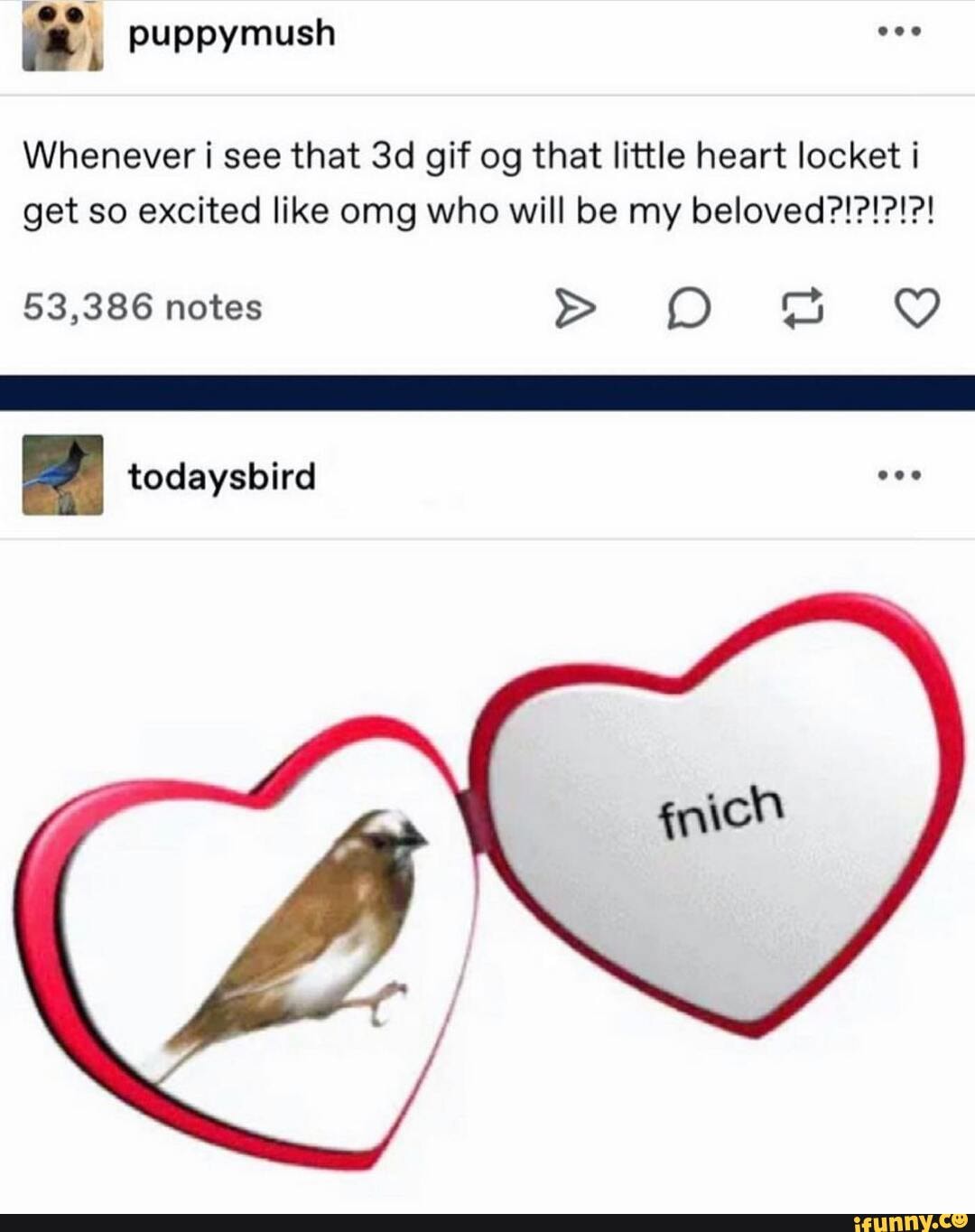 Heart Locket Meme GIF