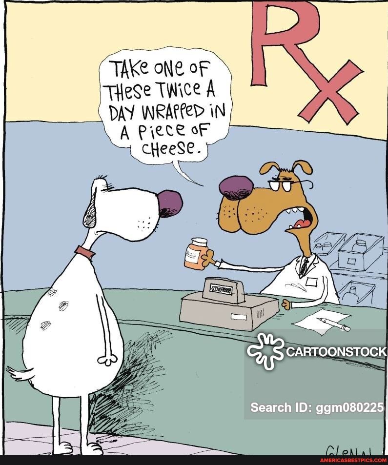 TAKe oNe oF
These Twice A I DAY WRAPPED IN
A Piece oF cheeSe.
fi )
CARTOONSTOCK
Search ID: ggm080225