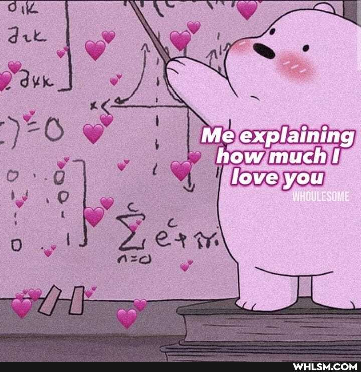 Me explaining how much love you