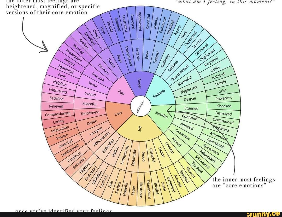 emotion-wheel-what-it-is-and-how-to-use-it-fairygodboss