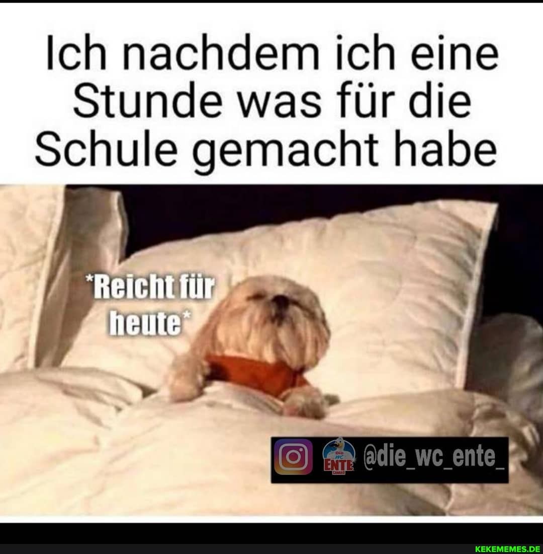 Ich nachdem ich eine
Stunde was für die
Schule gemacht habe
Reicht iür
heute
Adlie_we_ente_