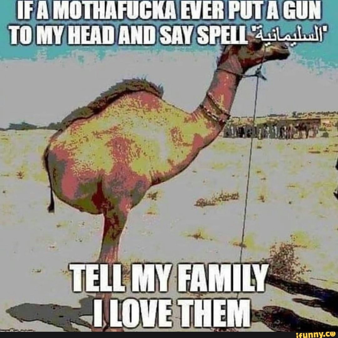 TEA
MOTHAFUCKA EVER PUT
A
GUN
TO MY HEAD AND SAY/SPEL Att