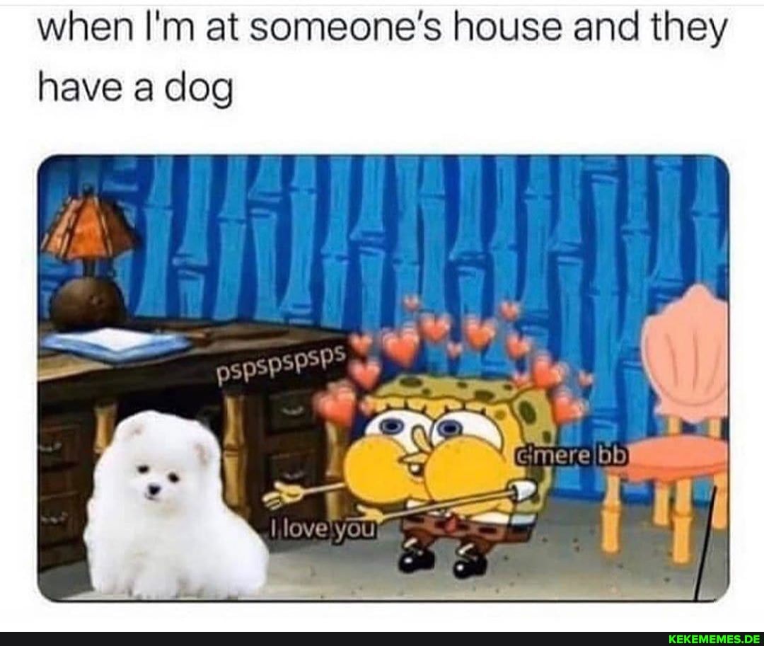 when I'm at someone's house and they have a dog
BAG