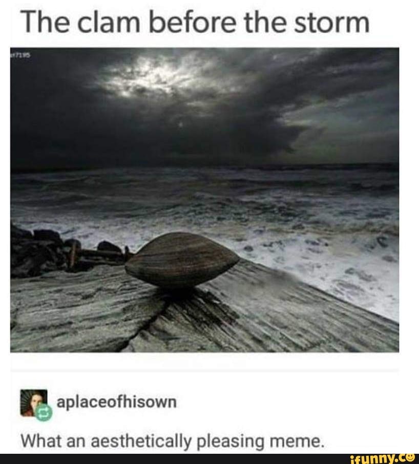 The clam before the storm
What an aesthetically pleasing meme.