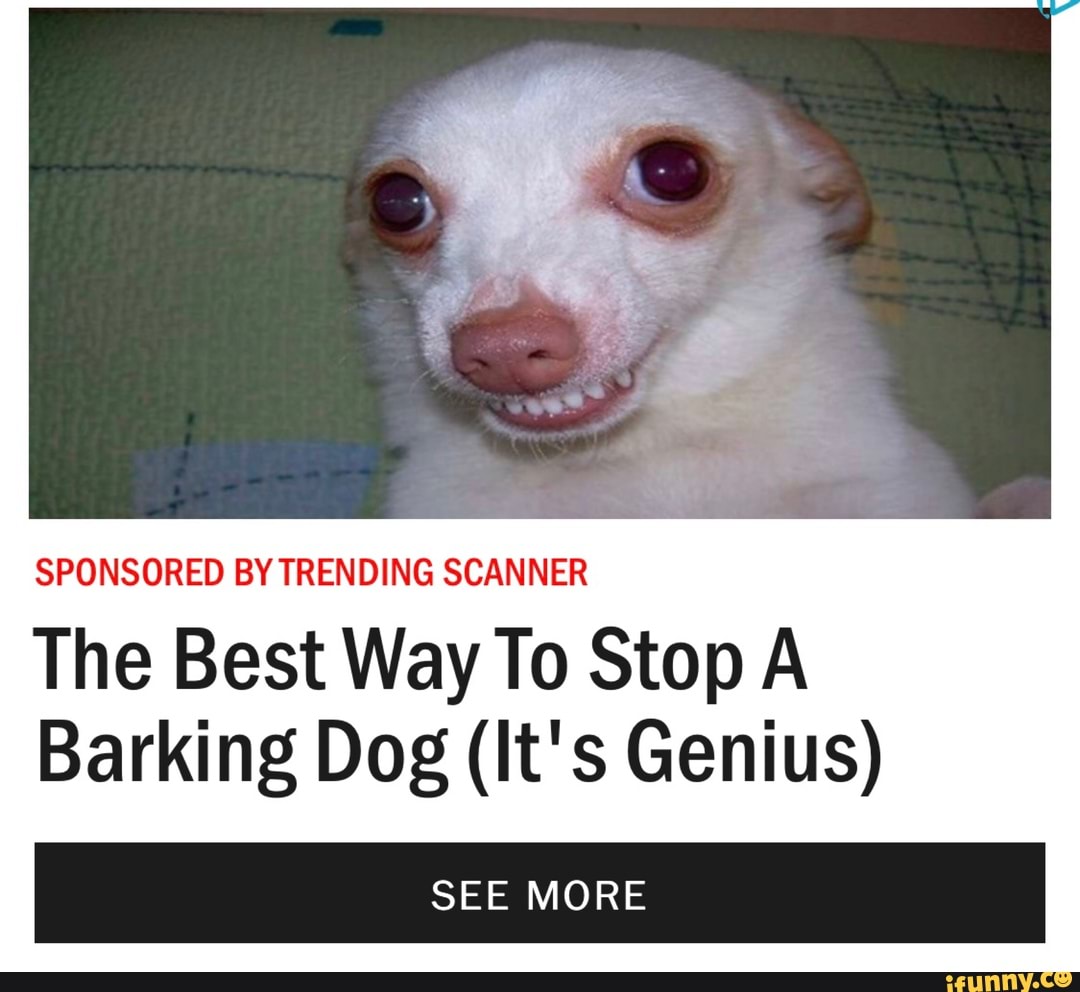 SPONSORED BY TRENDING SCANNER The Best Way To Stop A Barking Dog (It's