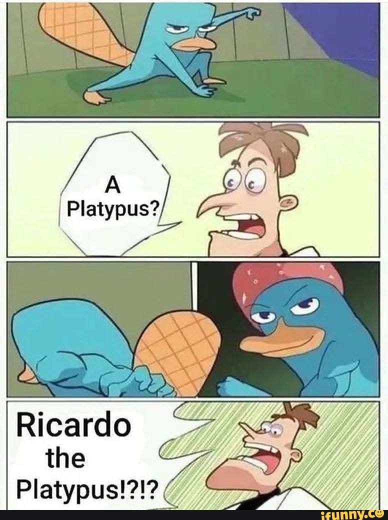 Perry The Platypus Memes