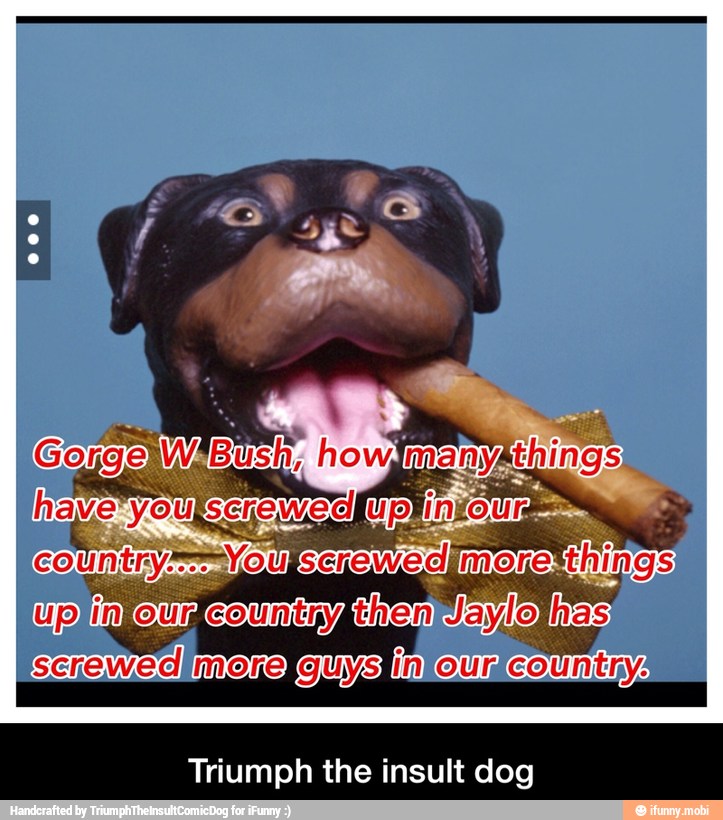 Triumph the insult dog - Triumph the insult dog
