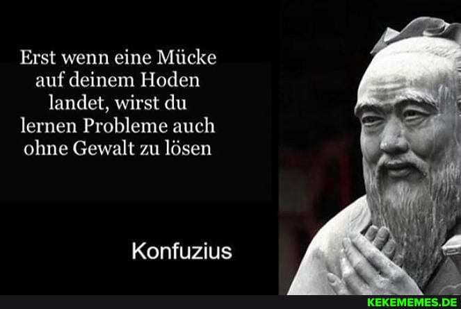 Erst wenn eine Mücke auf deinem Hoden landet, wirst du lernen Probleme auch ohne Gewalt zu lösen
Konfuzius