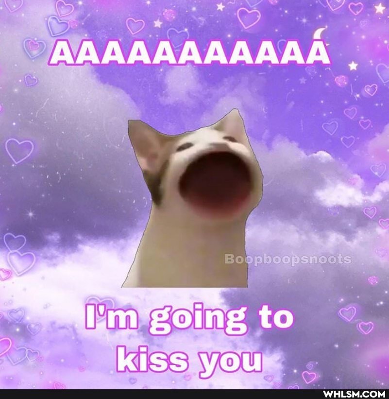 AAAABAAAAAA .
going to
kiss you
