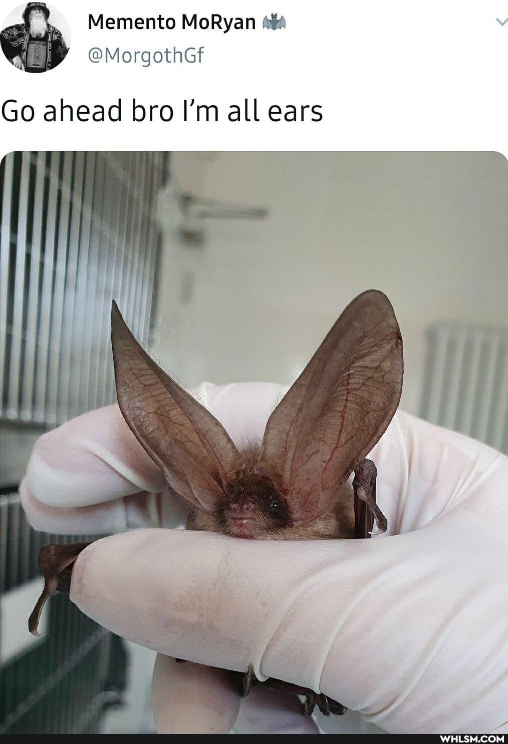 Memento
Go ahead bro I'm all ears