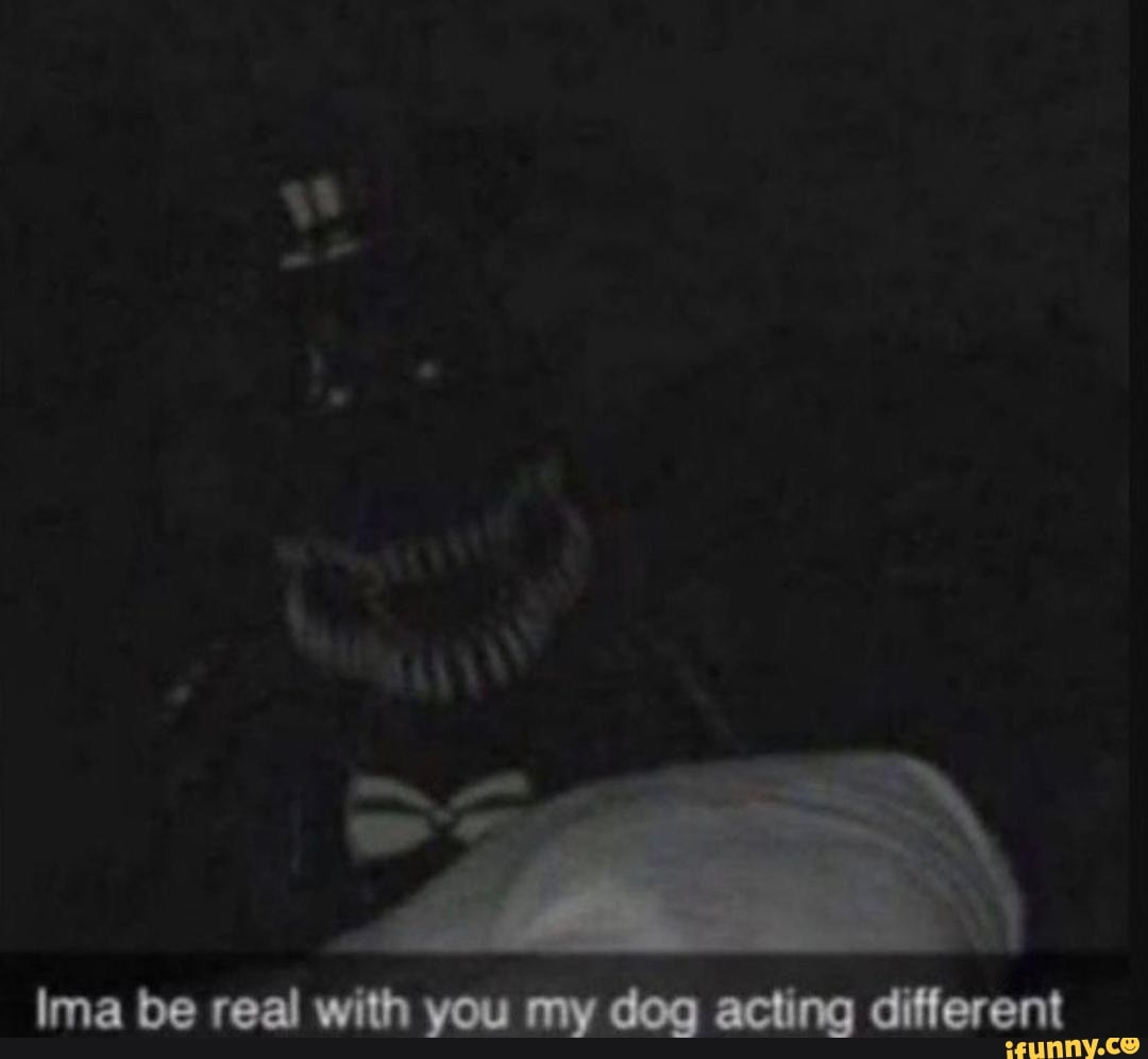 Ima be real with you my dog acting different - iFunny