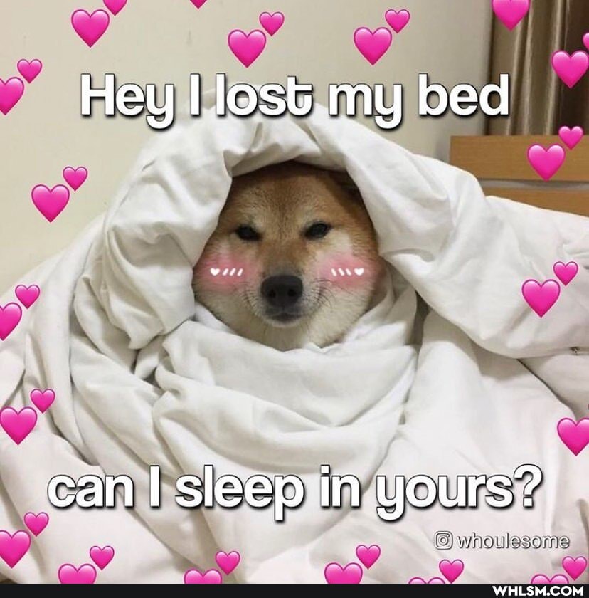 Hey lost my bed
can sleep in yours?
2 whguloserie
rA