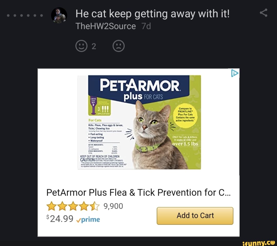 He cat keep getting away with it! TheHW2Source plus PETARIMIOR PetArmor