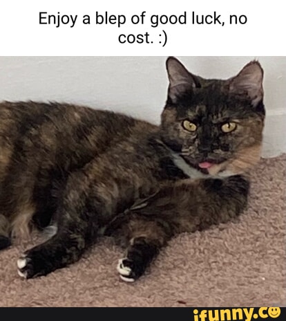 Blep memes. Best Collection of funny Blep pictures on iFunny