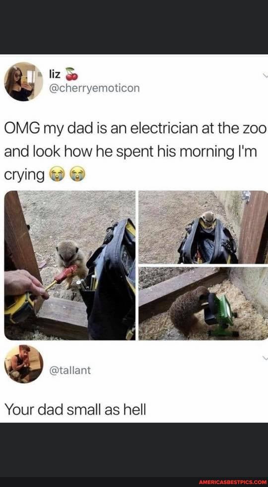 liz
@chenyemoticon
OMG my dad is an electrician at the zoo and look how he spent his morning I'm crying @ @
Your dad small as hell