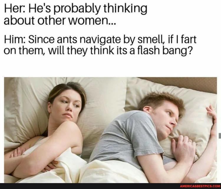 Her: He's probably thinking about other women...
Him: Since ants navigate by smell, if I fart on them, will they think its a flash bang?