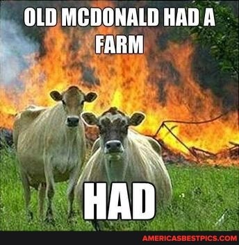 OLD MCDONALD HAD A FARM