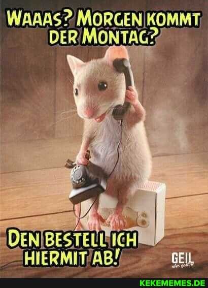 DER MONTAG?
"DENIBESTELL ICH
"YIERMIT AB!