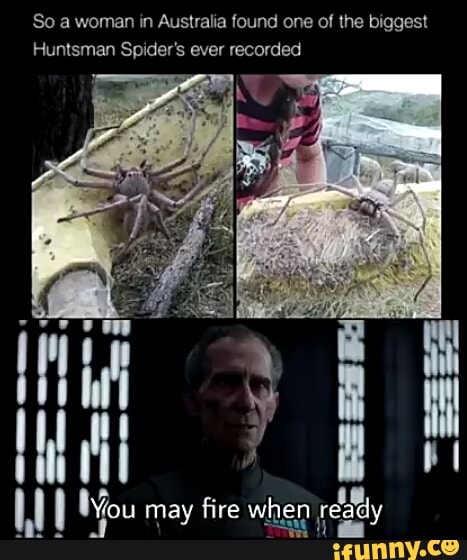 So a woman in Australia found one of the biggest
Huntsman Spider's ever recorded
may fire when
