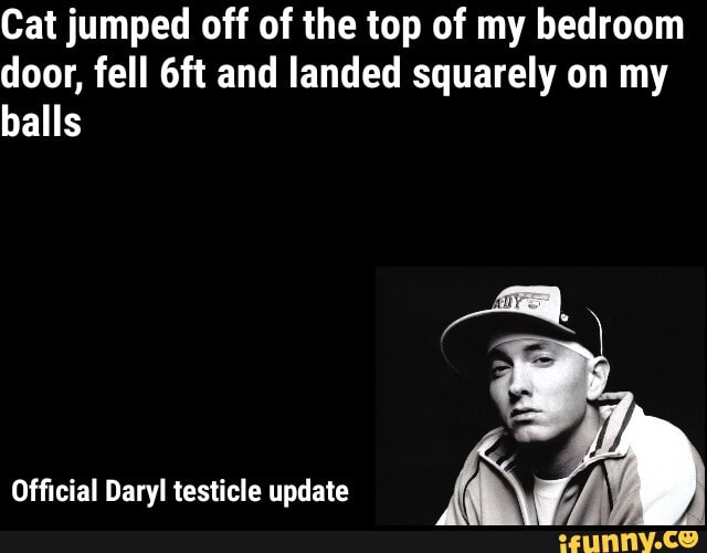 Cat jumped off of the top of my bedroom door, fell and landed squarely on my balls
Official Daryl testicle update