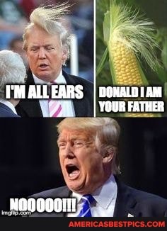 MAIL EaRs DOMALDAM IYQUR FATHER
