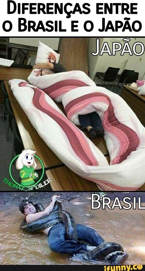 DIFERENÇAS ENTRE O BRASIL E O JAPÃO
JAPÃO
BRASIL