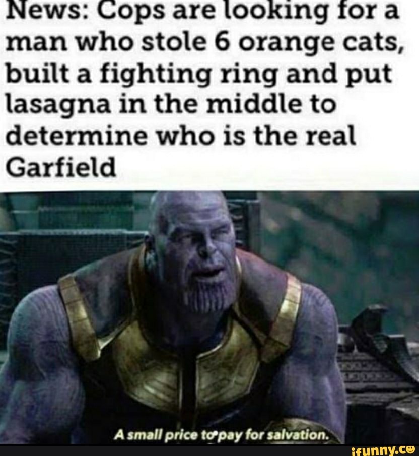 man who stole 6 orange cats,
built a fighting ring and put
lasagna in the middle to
determine who is the real
Garfield