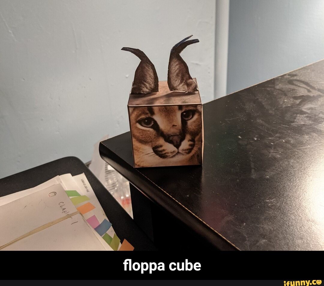 Just made a Floppa cube : r/Floppa