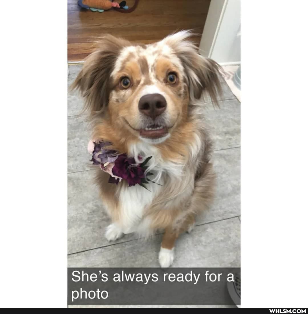 She's always ready fora photo