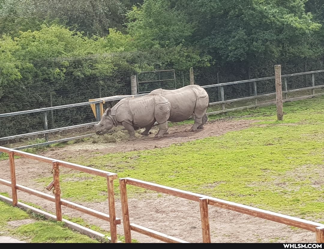 zoo