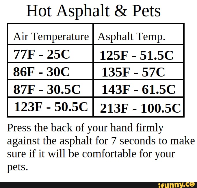 Pet Psa - Hot Asphalt & Pets Air Temperature I Asphalt Temp. - 51.8c 