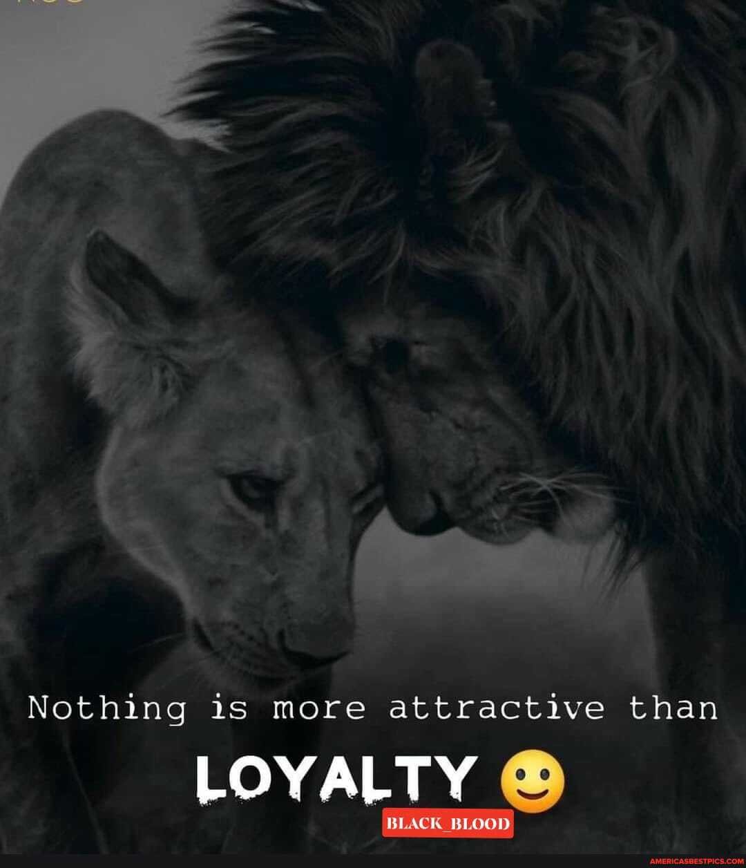 Nothing is more attractive than
LOYALTY
BLACK BLOOD