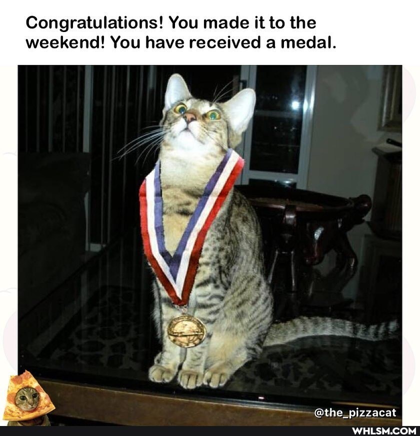 Congratulations! You made it to the weekend! You have received a medal.
@the nizzacat