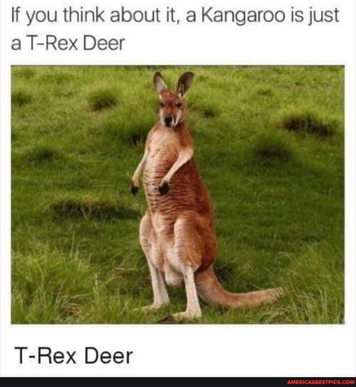 If you think about it, a Kangaroo is just a T-Rex Deer
T-Rex Deer