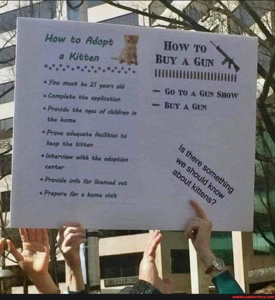 How to Adopt
. .
You must be the 21 years old application GO TO A GUN SHow
*Complate the application
BUY GuN
*Provide the eges of children in the home
ig *Prove adequate fecilities bo
hasp the kitten 6
Inberview with the edoption center
Provide info for licensed vet
Prepare for home visit