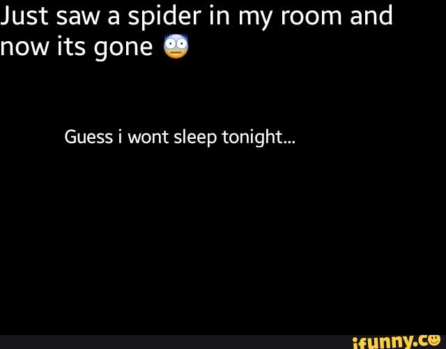Just saw a spider in my room and now its gone 9 Guess i wont sleep