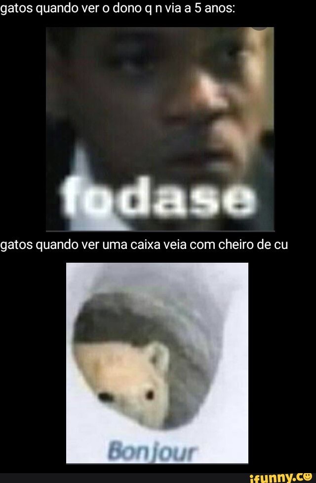 gatos quando ver o dono via a 5 anos
gatos quando ver uma caixa veia com cheiro de cu