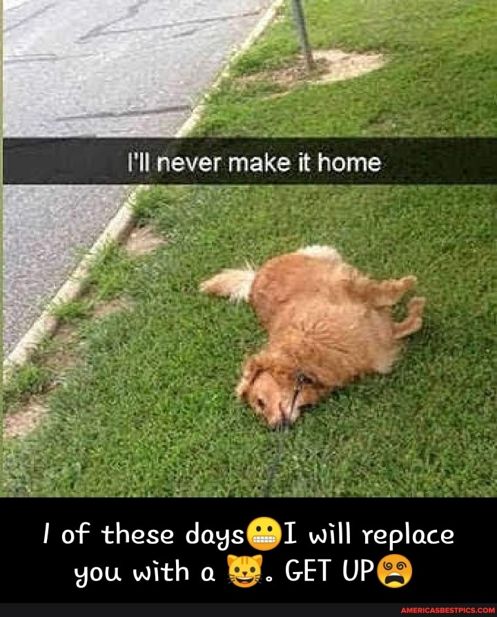 'll never make it home
of these days will replace you with a GET UP