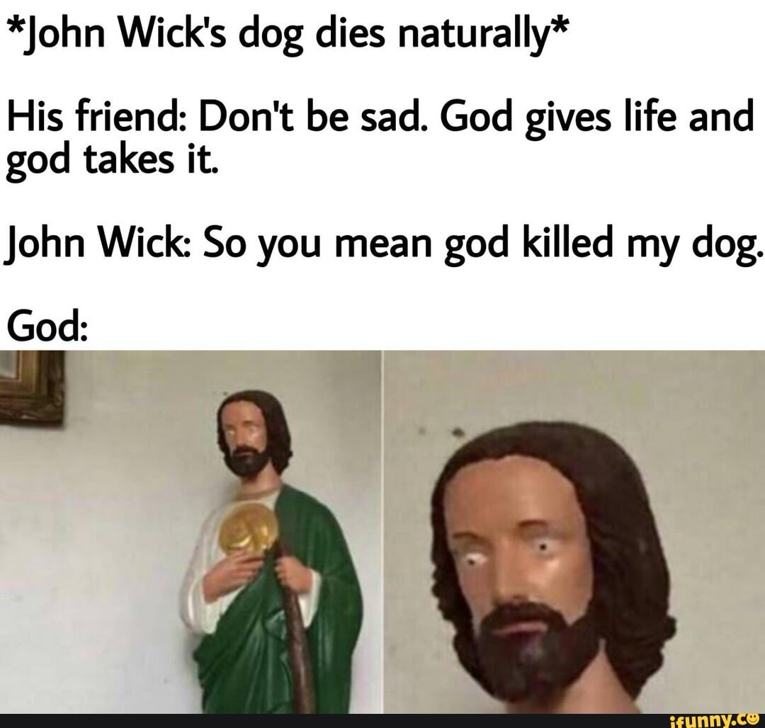 Who Killed John Wicks Dog