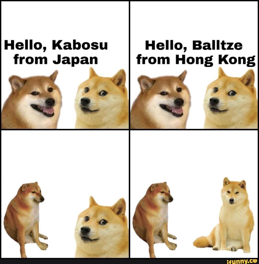 Meme狗死左 時事台 香港高登討論區